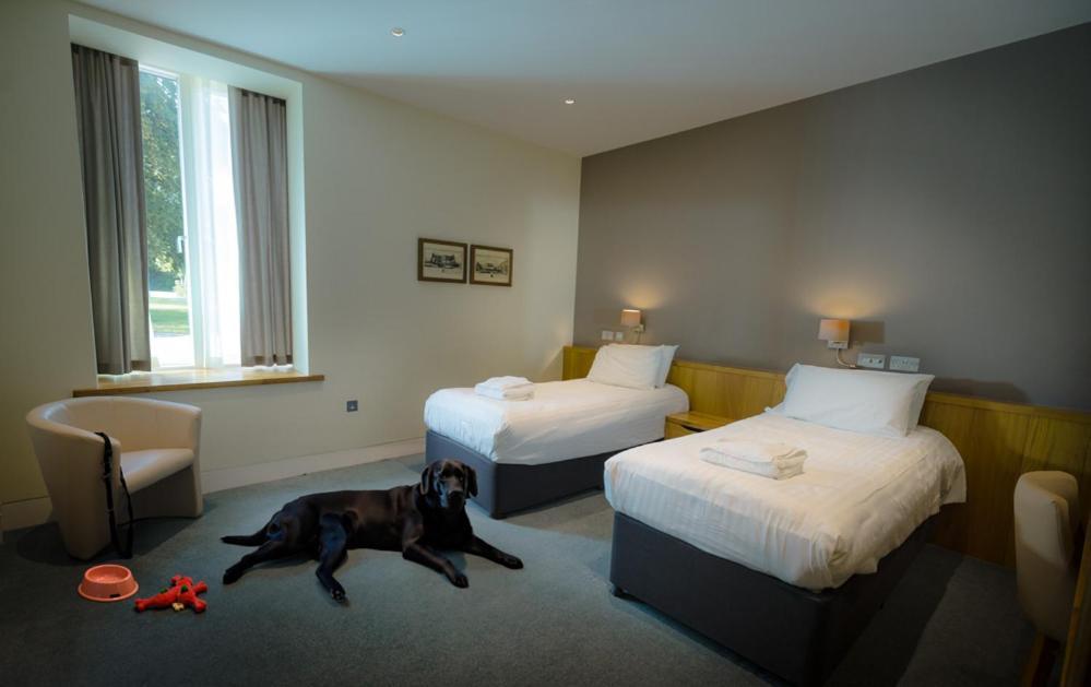 Northgate House Hotel Buckfastleigh Exterior photo
